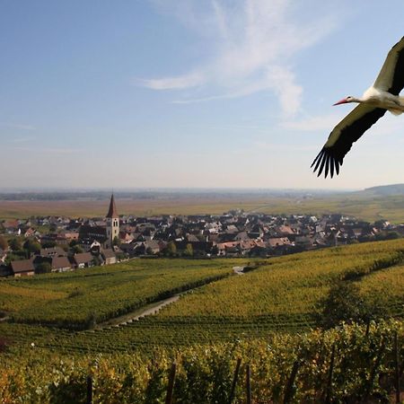 אמרשוויר Les Chambres Du Vignoble מראה חיצוני תמונה